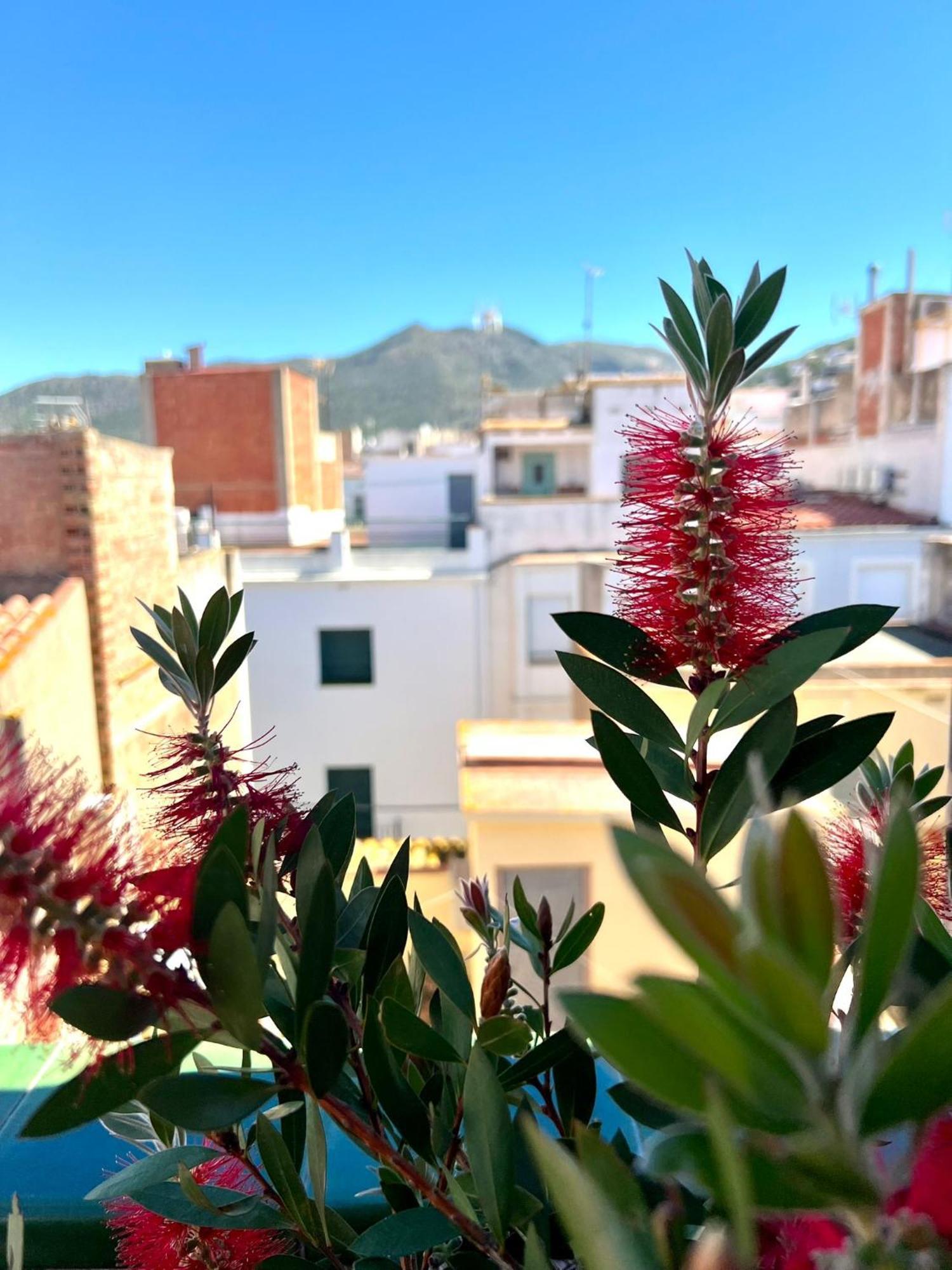 רוזס Escondite Central Con Terraza Compartida En La Azotea מראה חיצוני תמונה
